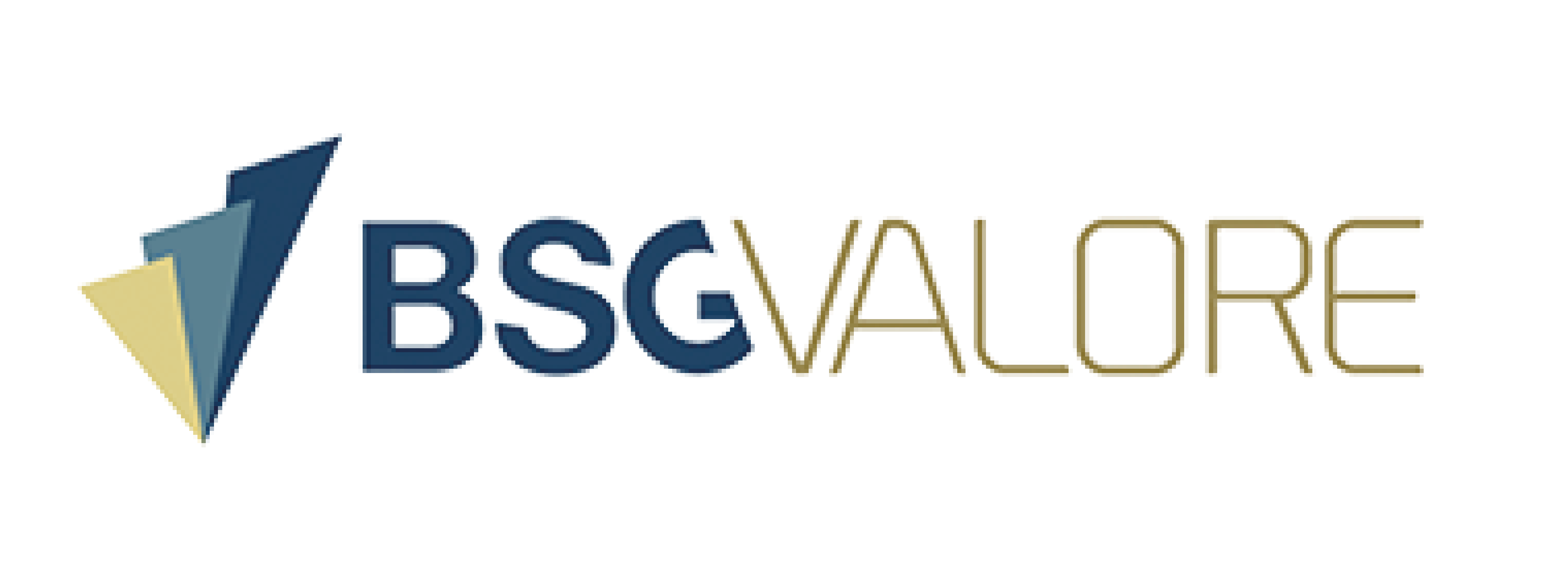 BSG