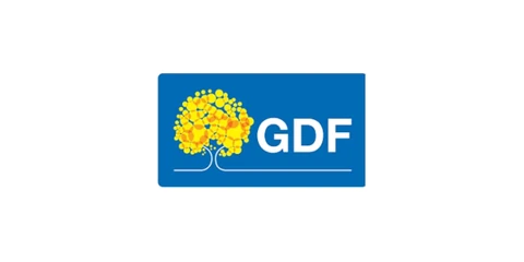 Federal District Government (Brazil)